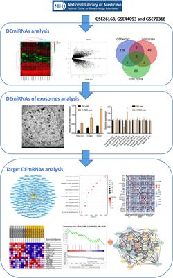 miR-135a-5p overexpression in peripheral blood-derived exosomes mediates vascular injury in type 2 diabetes patients